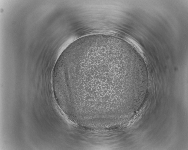 X0000087360907200705041852