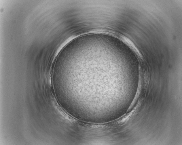 X0000087360908200705041852