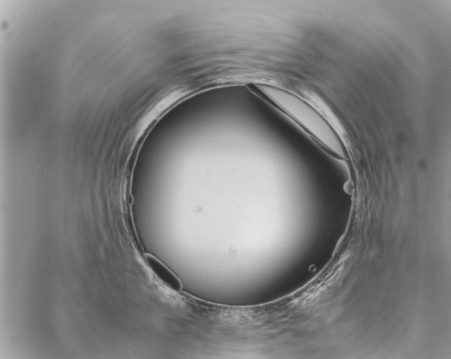 X0000087360909200705041852