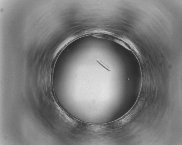 X0000087360910200705041852