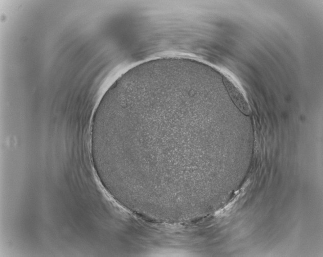 X0000087360911200705041852