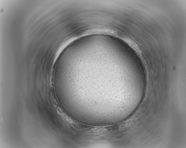 X0000087360912200705041852