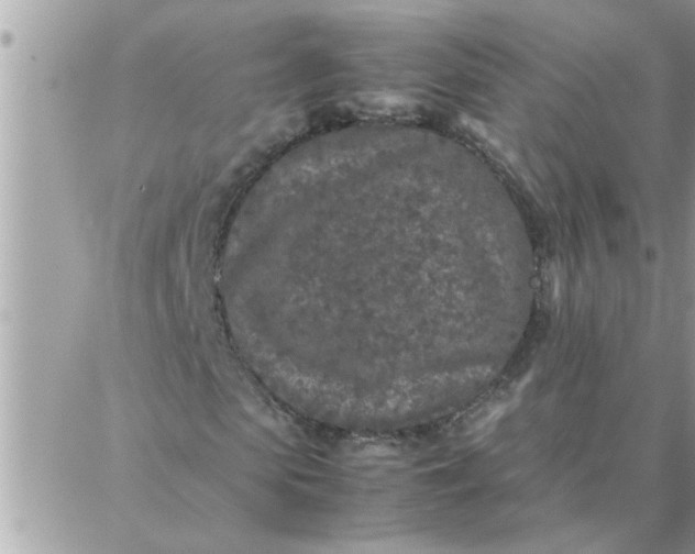 X0000087360913200705041851