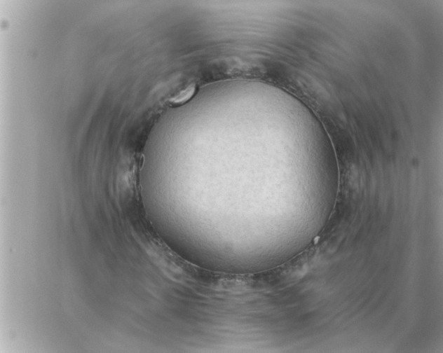 X0000087360914200705041851