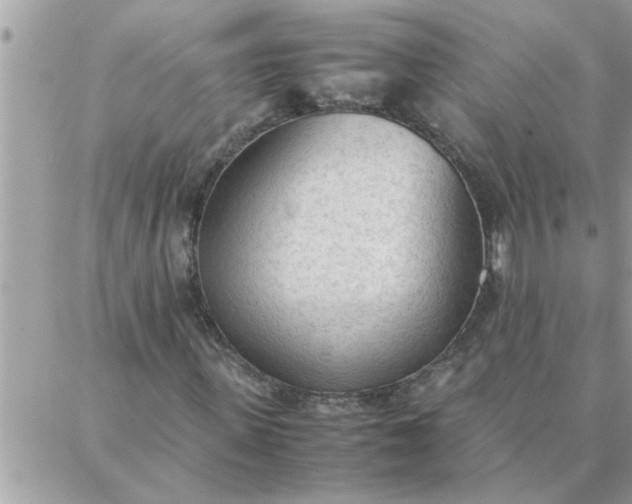 X0000087360915200705041851