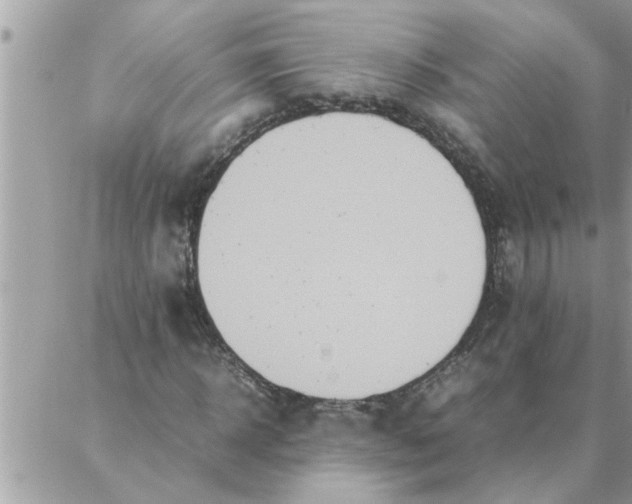 X0000087360918200705041851