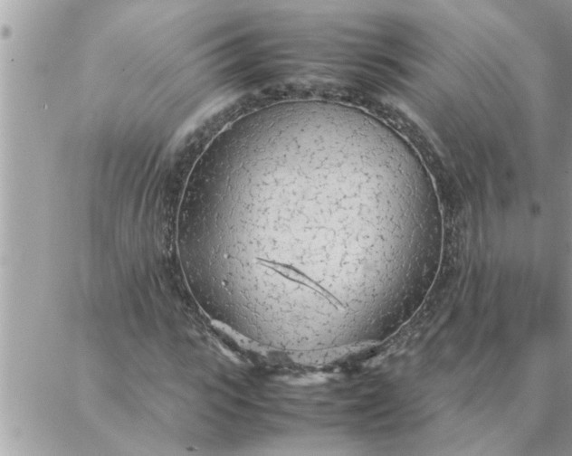 X0000087360919200705041851