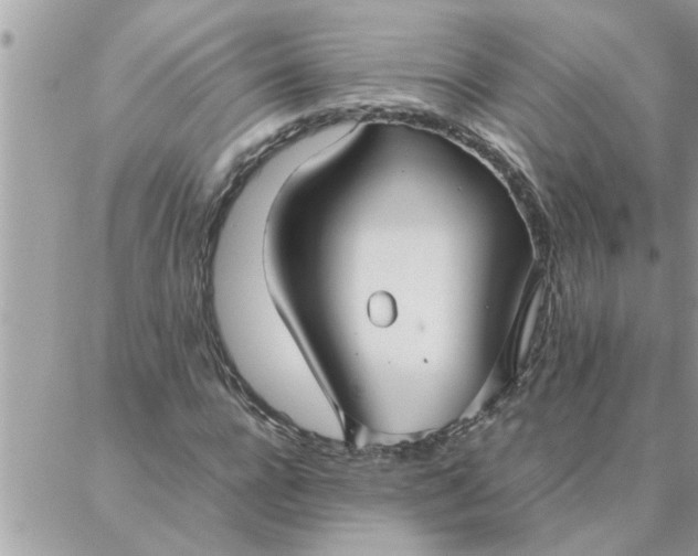 X0000087360920200705041851