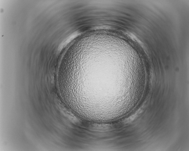 X0000087360921200705041851