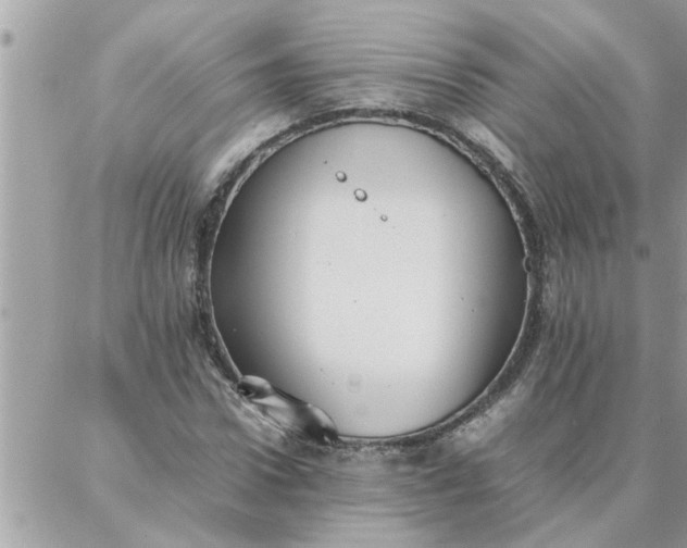 X0000087360922200705041851