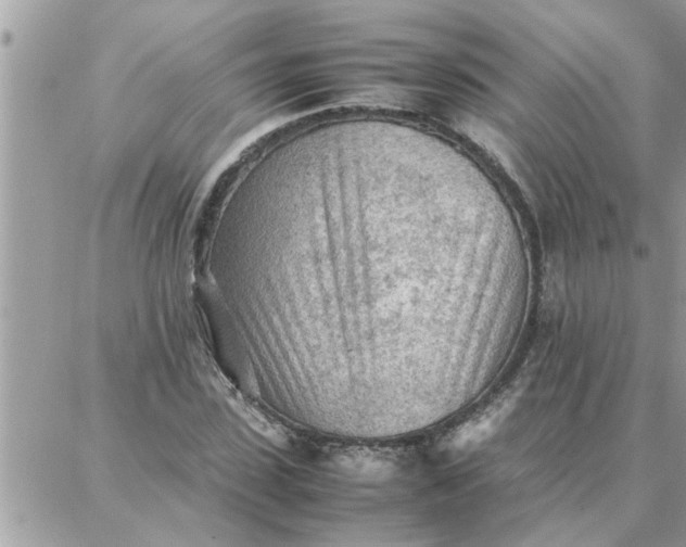 X0000087360923200705041851