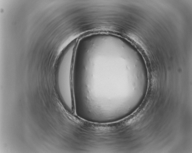 X0000087360925200705041851