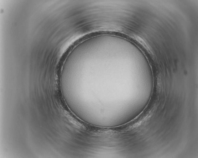 X0000087360926200705041851