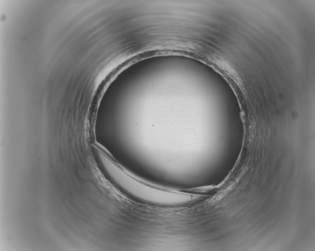 X0000087360928200705041851