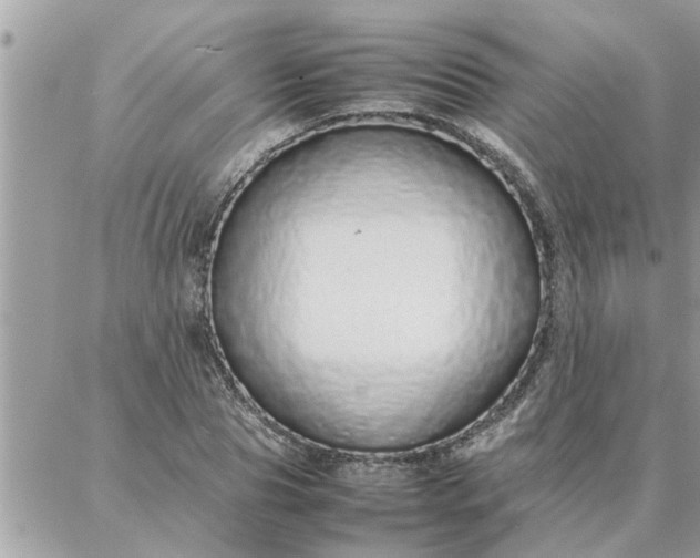 X0000087360929200705041851