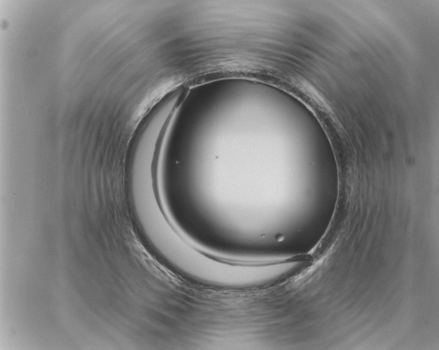 X0000087360930200705041851