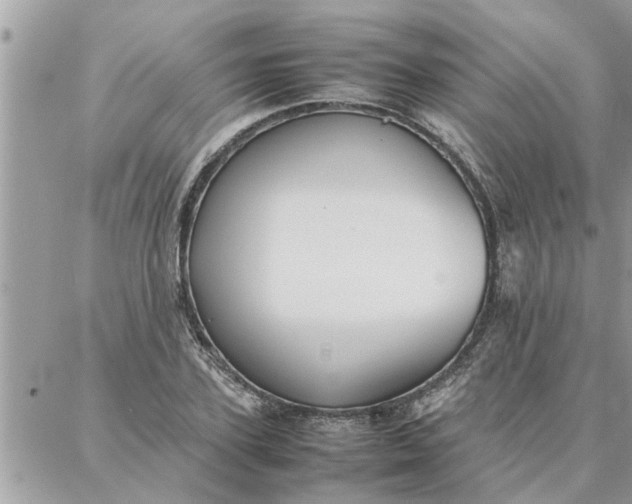 X0000087360931200705041851