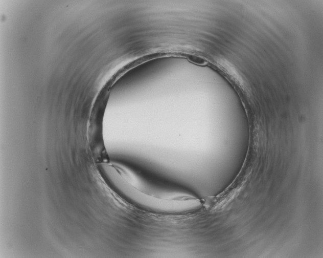 X0000087360932200705041851