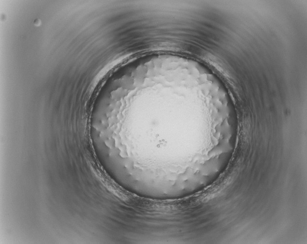 X0000087360933200705041851