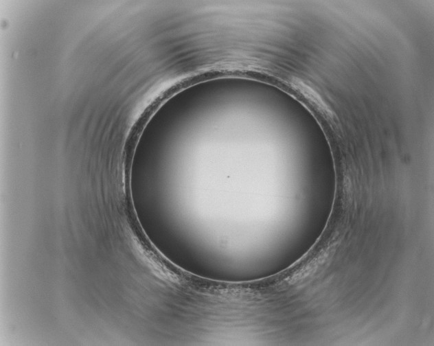 X0000087360934200705041851