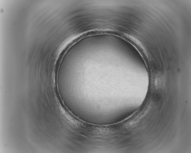 X0000087360935200705041851