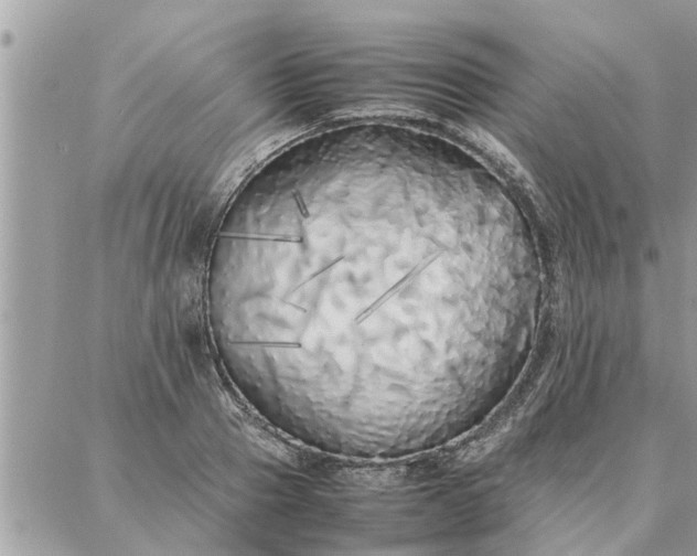 X0000087360937200705041851