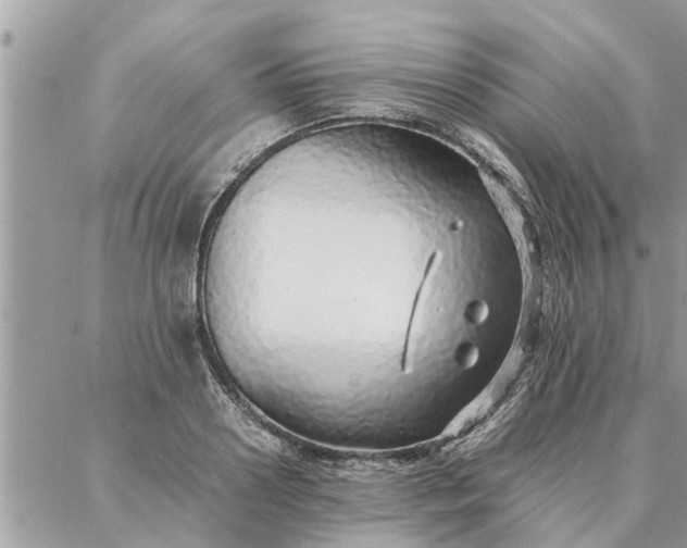 X0000087360938200705041851