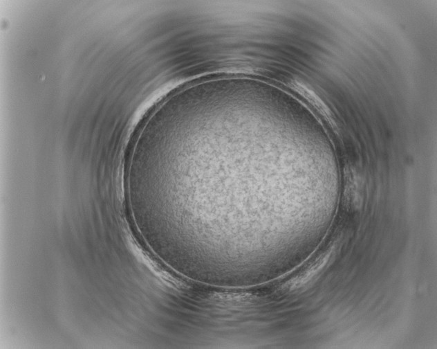 X0000087360939200705041851