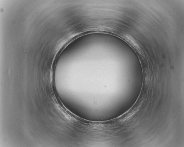 X0000087360940200705041852