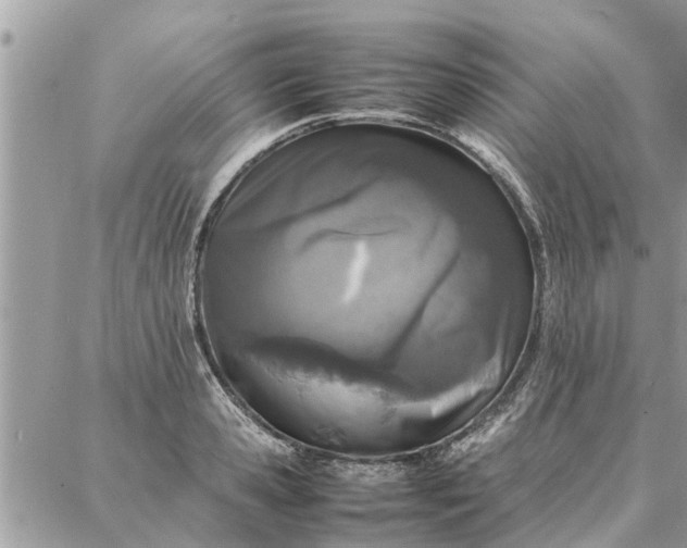 X0000087360941200705041852