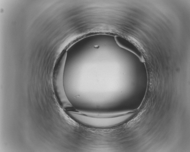 X0000087360942200705041852