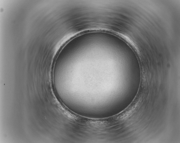 X0000087360943200705041852