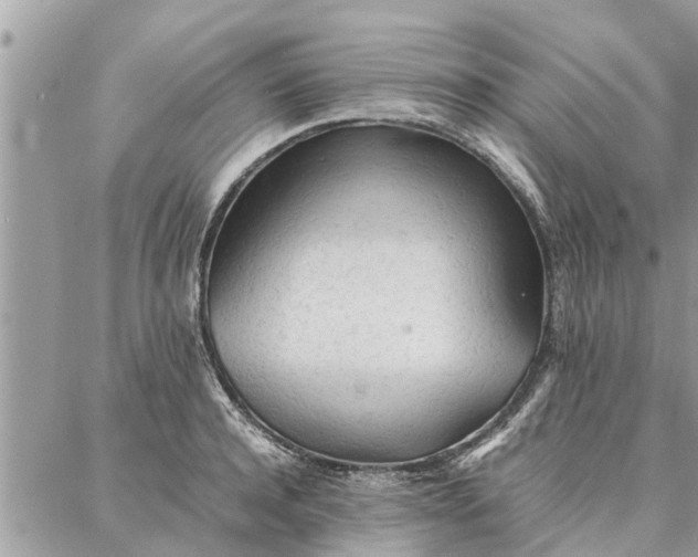 X0000087360944200705041852