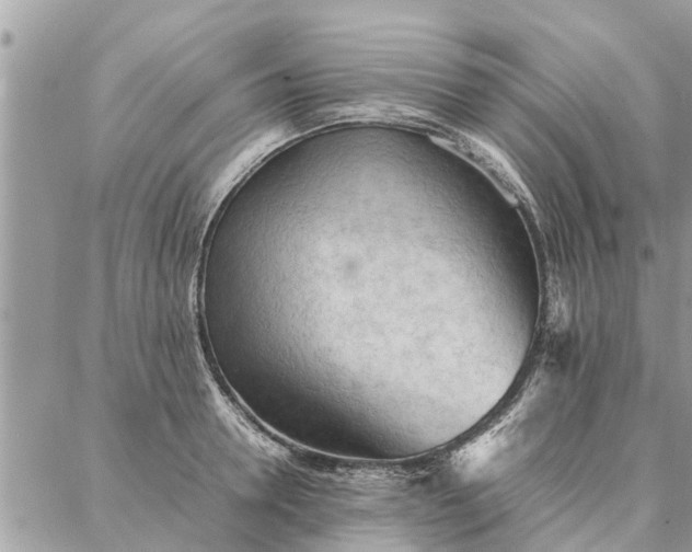 X0000087360946200705041852