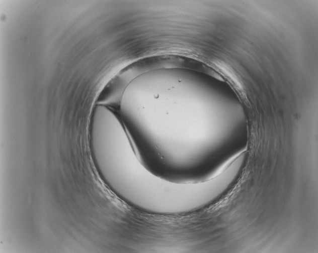 X0000087360948200705041852