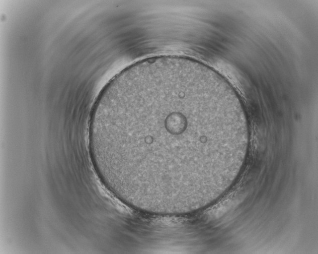 X0000087360950200705041852