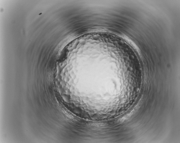 X0000087360953200705041852