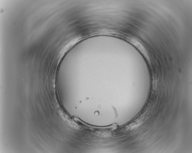 X0000087360954200705041852