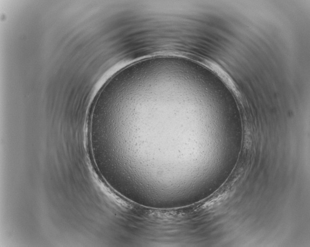 X0000087360955200705041852