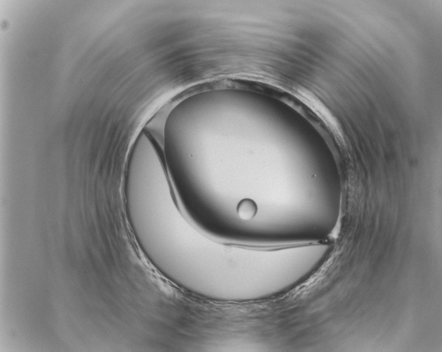 X0000087360956200705041852