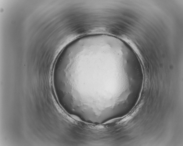 X0000087360957200705041852