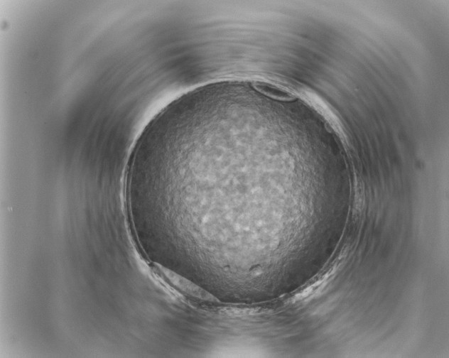 X0000087360958200705041852