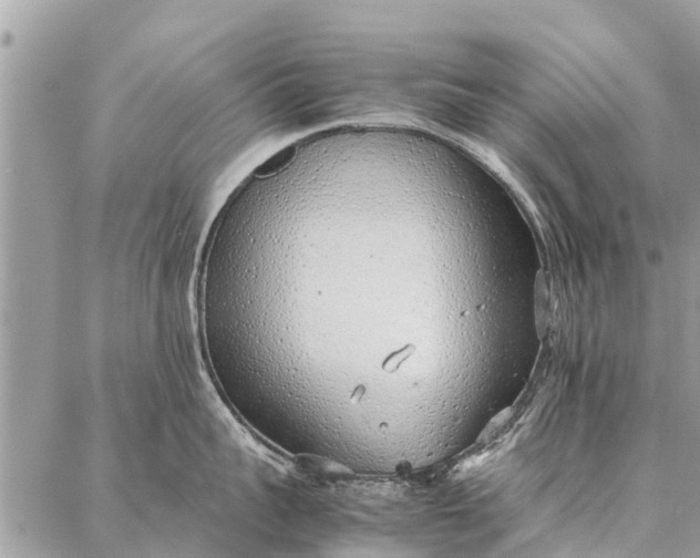 X0000087360959200705041852