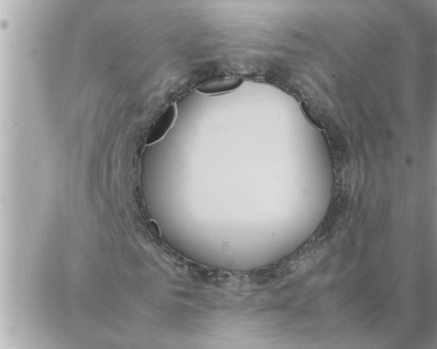 X0000087360961200705041851