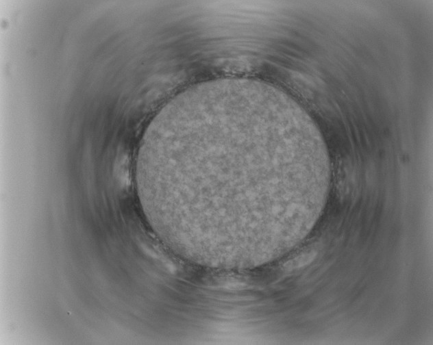 X0000087360962200705041851