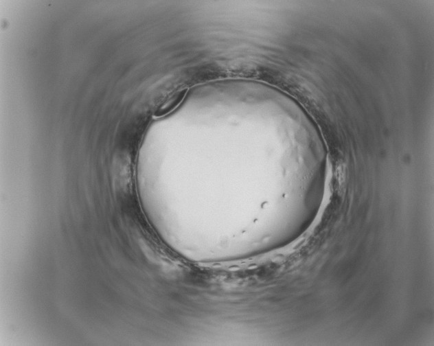 X0000087360963200705041851