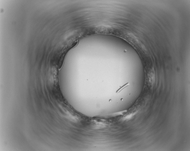 X0000087360964200705041851