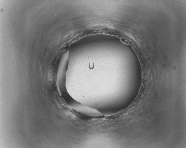 X0000087360965200705041851