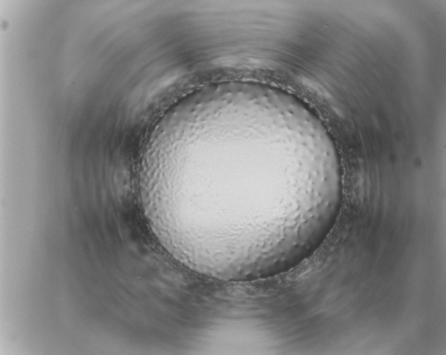 X0000087360966200705041851