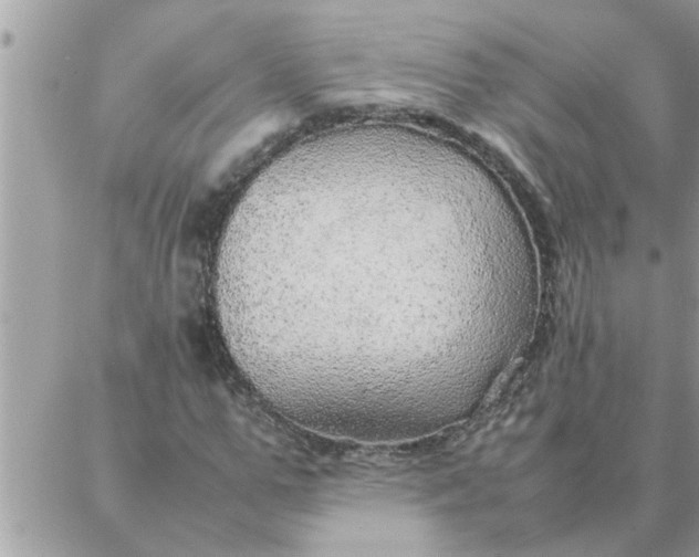 X0000087360967200705041851